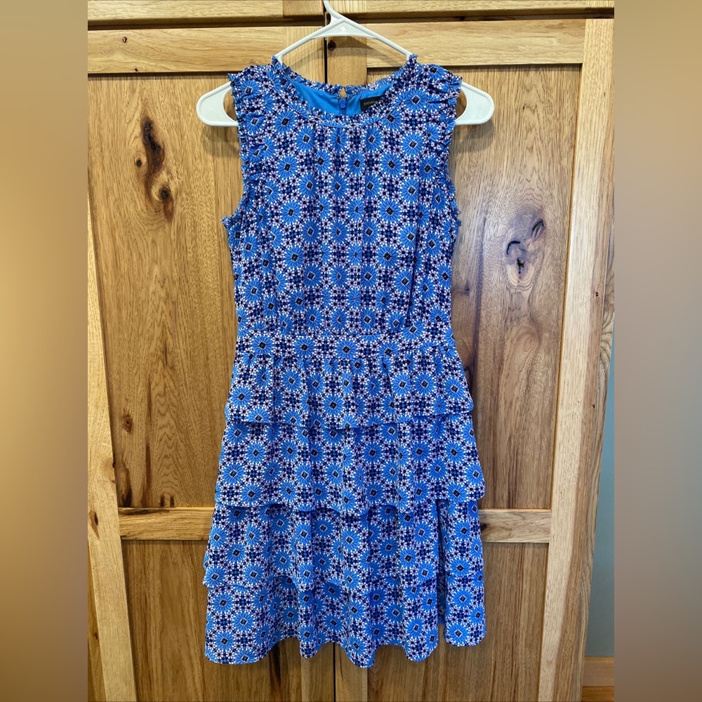 Banana Republic Blue Floral Ruffled Dress Size 0
